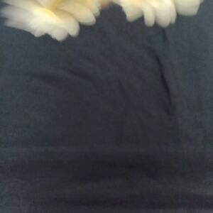 Arcade Fire Tour T Shirt Pink Elephant Concert Tour 2025 Unisex LG. Black